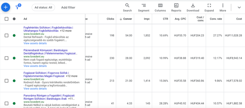Ad-level report with click-through and conversion rates per treatment ad.